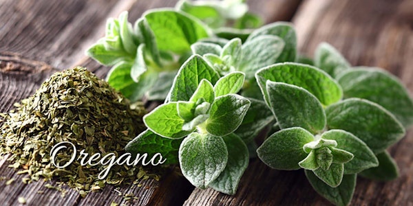 Dried oregano next to fresh oregano on a wooden table with the word "oregano" on the image