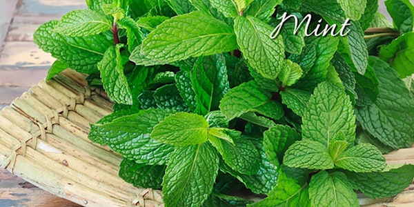 Bunch of fresh mint sitting on bamboo dish with the word "mint" on the image