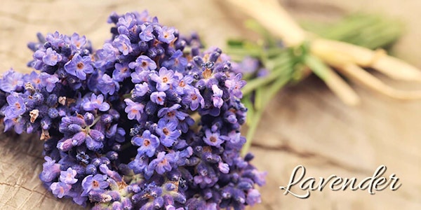 Bundle of fresh lavender tied at the stem and lying on table with the word "lavender" on the image