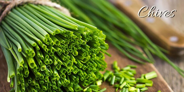 Bundle of chives with the ends chopped off with the word "chives" on the image
