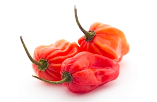 Caribbean red hot habanero peppers