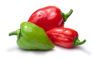 Red and green habanero peppers