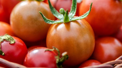 tomatoes assorted sizes in basket