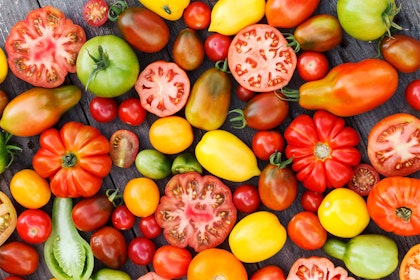 a variety of heirloom and hybrid tomatoes