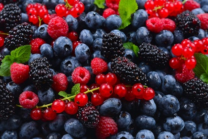 A closeup of acai, blackberries, blueberries and raspberries