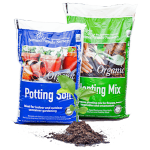 A Bag of SummerWinds Organic Potting Soil & a Bag of SummerWinds Organic Planting Mix with a small plant start in a little pile of dirt