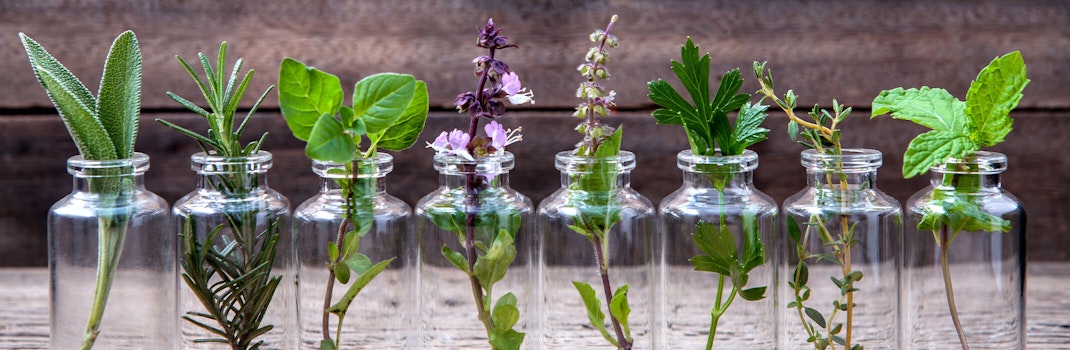A variety of herbs - each in a clear glass bottle on a wooden table