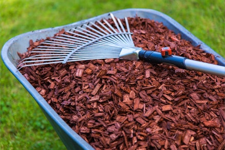 A wheelbarrel filled with mulch with a rake on top and a lawn in the background