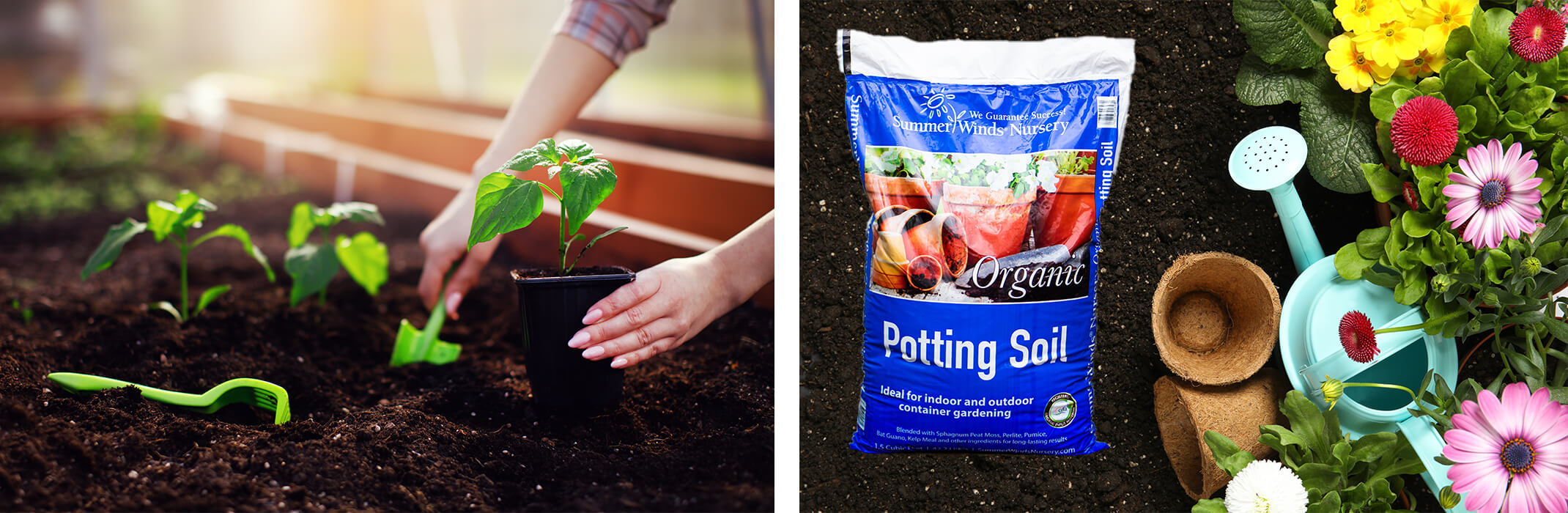 A collage of images: a woman planting new plants in a raised garden bed, a bag of SummerWinds Organic Potting Soil surrounded by fresh soil, pulp pots, a water can and flowers