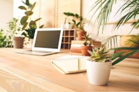 A variety of Couseplants on a wooden table in an office near a laptop, notepad , pencil and a pile of books