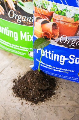 2 bags of soils cropped and closeup - SummerWinds Nursery's Organic Planting Mix and Potting Soil with small plant start in a small pile of soil in the foreground