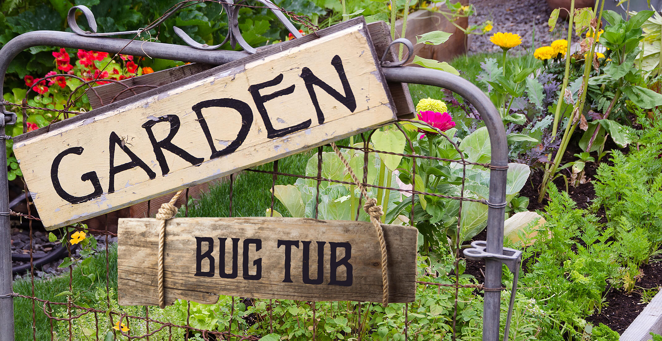 Metal gate with wooden sign that says Garden and another sign that says Bug Tub all in front of a garden full of healthy plants