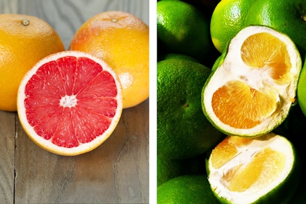 2 images: Ruby Red Grapefruits and Oro Blanco Grapefruits