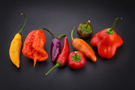 A variety of colorful hot peppers on a black surface