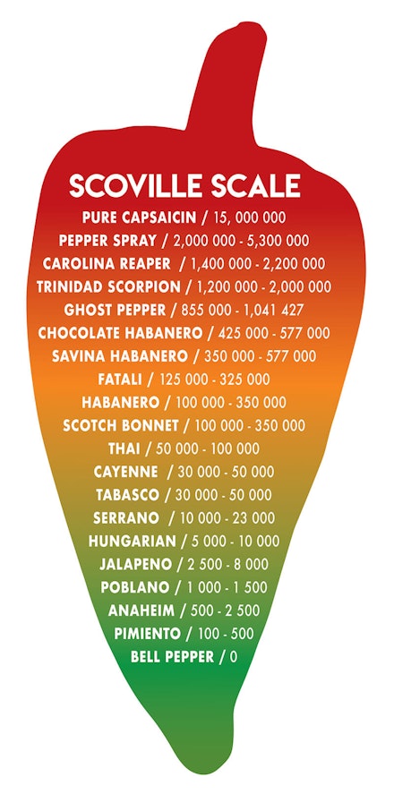 An illustration of a pepper with colors fading down from red to orange to yellow to green with the text: Scoville Scale and a variety of hot peppers and their ratings listed on the graphic