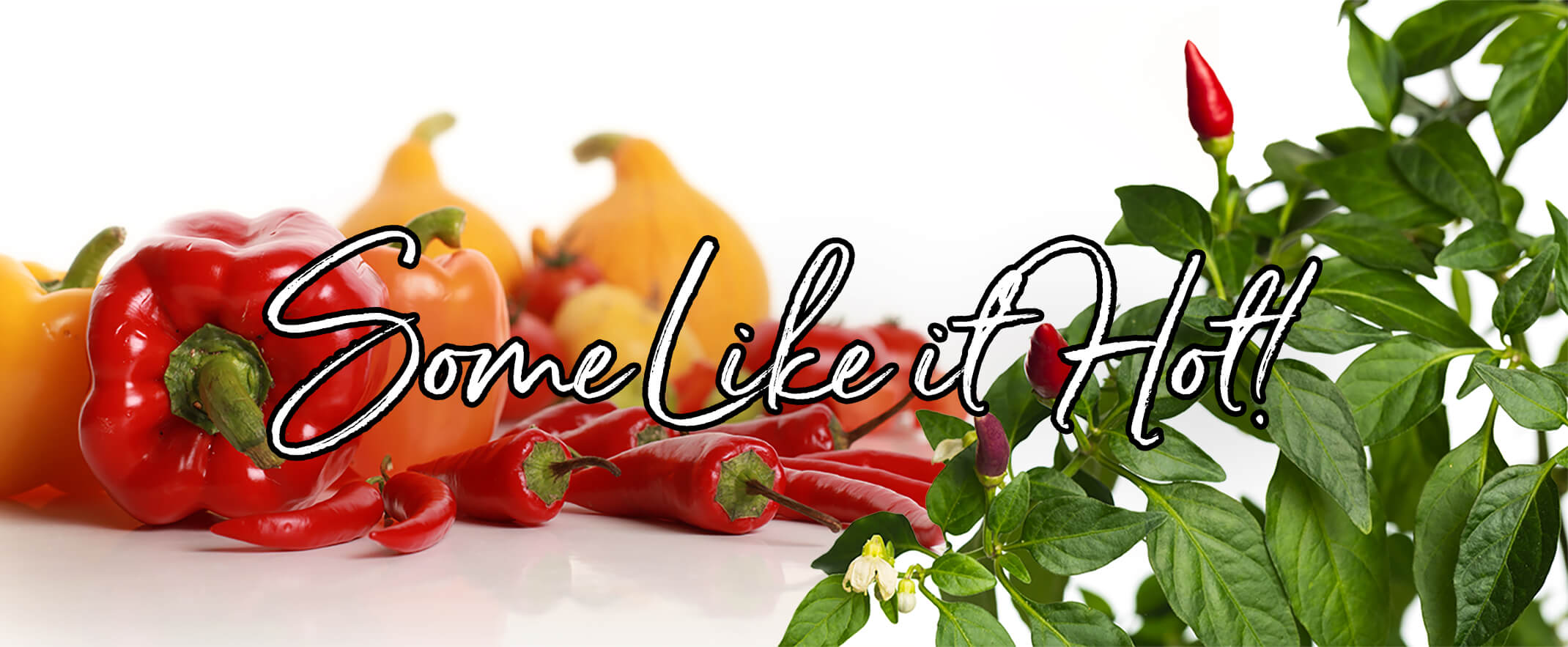 A variety of Sweet and Hot Peppers on a white background  with the text 