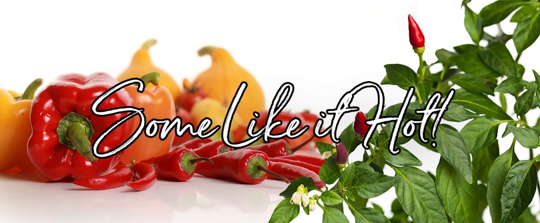 A variety of Sweet and Hot Peppers on a white background  with the text 