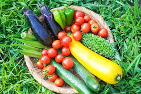 A bowl of various fruits that are often thought of as vegetables - sitting in the grass