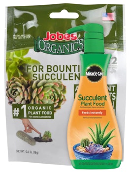 Bottle of Miracle Gro Liquid Plant Food in front of a package of Jobes Organics Succulent Food Spikes
