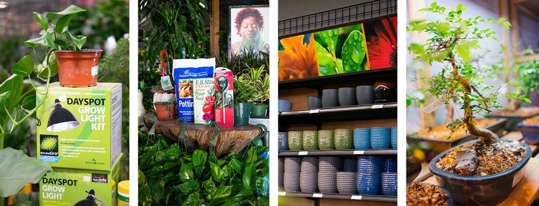 4 images - Dayspot Grow Light Kits on display near houseplants; a variety of houseplants surrounding summerwinds potting soil, eb stone organics all purpose plant food, and a water meter.; shelves filled with colorful indoor pots and signage; and a closeup of a bonsai tree in a bonsai pot