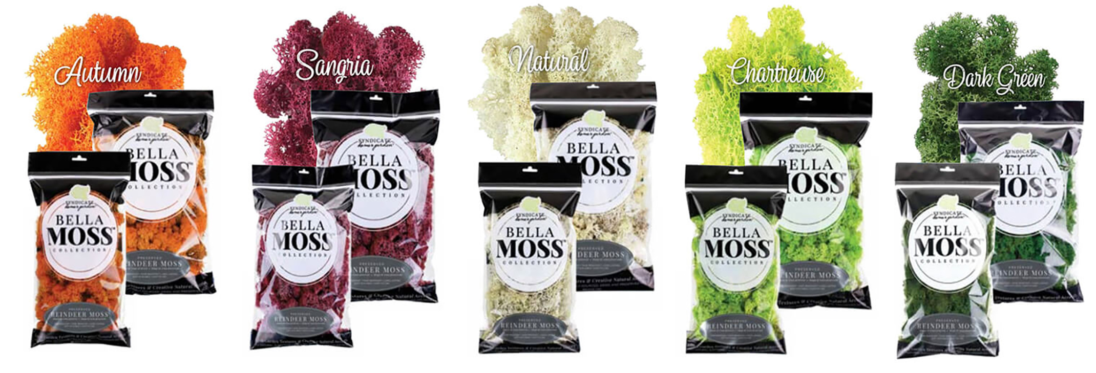Bella Moss Collection Syndicate home garden - 5 different colors Five different colors and packages of Bella Moss Collection Syndicate home garden
