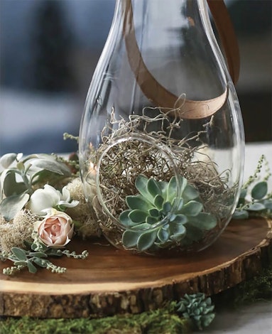 Terrarium sitting on a slice of wood and inside the terrarium is an echevieria and some spanish bella moss?h=700