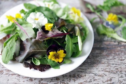 A white plate of salad with edible flowers on a wooden table with extra salad ingredients blurred in the background