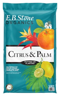 Citrus Palm Potting soil