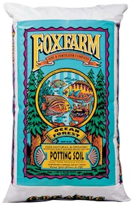 foxfarm ocean forest potting soil