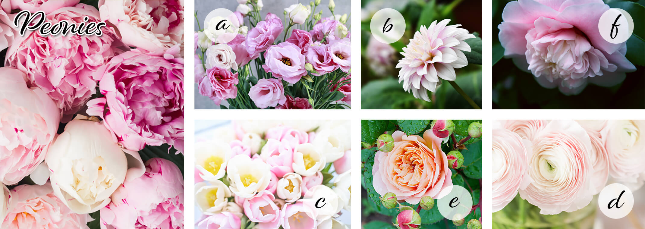 7 images: peonies with the text 'peonies' on the photo; Lisianthus (with a white circle and an 'a' on it), Flowering Tulips (with a white circle and a 'c' on it), Dahlias (with a white circle with a 'b' on it), Roses (with a white circle with an 'e' on it), Camellias (with a white circle and an 'f' on it); and Ranunculus (with a white circle and a 'd' on it).