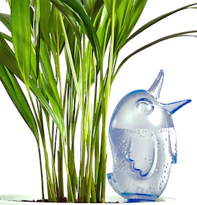 Blue Scheurich bordy bird with water inside stuck in a pot next to a houseplant