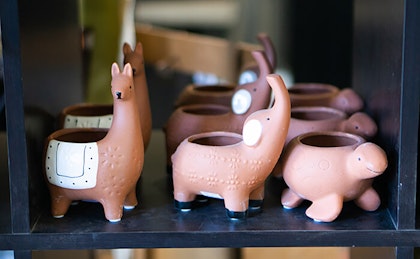 Terra cotta animal planters 3 different terra cotta animal planters, llama, elephant and turtle on a black shelf