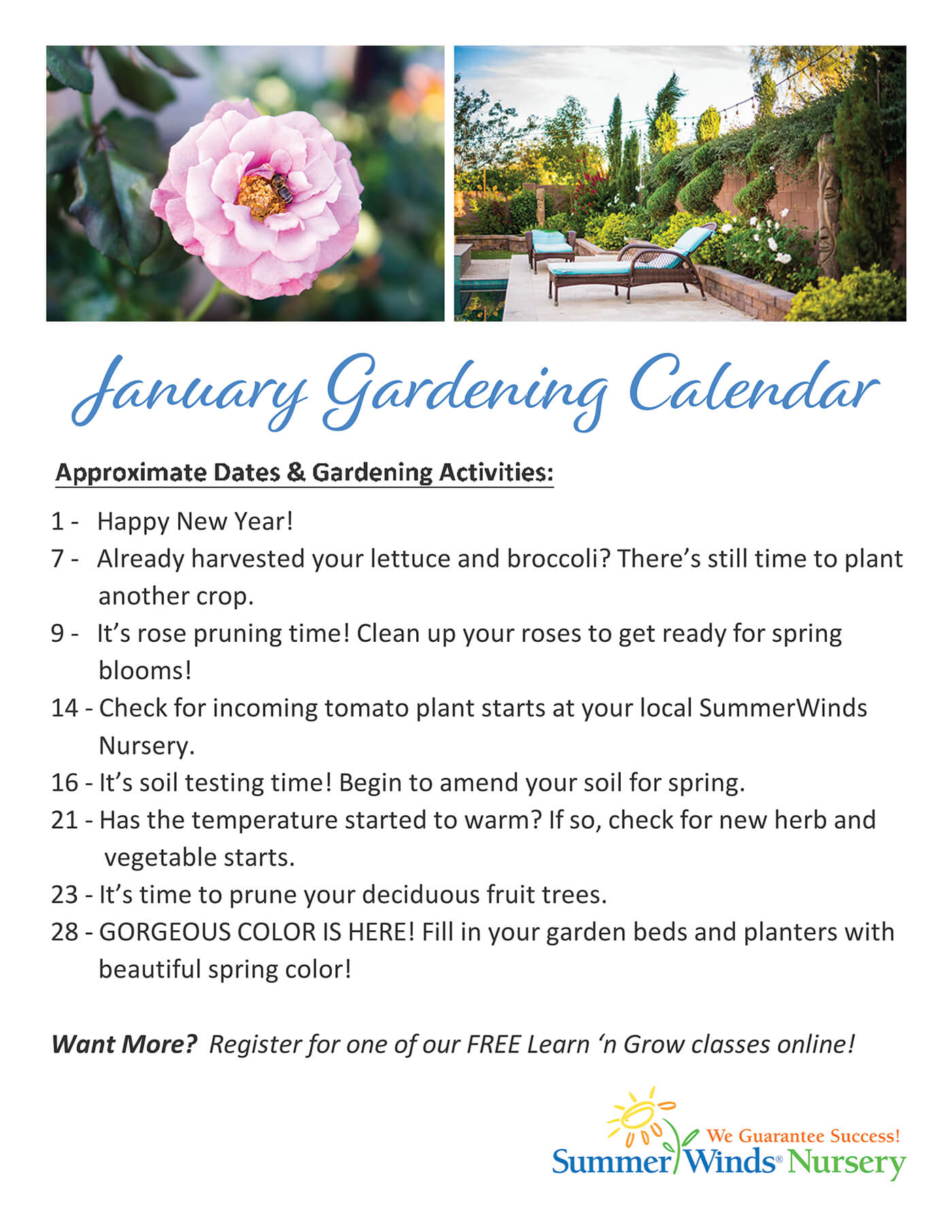 A jpg image of our January Gardening Calendar flyer