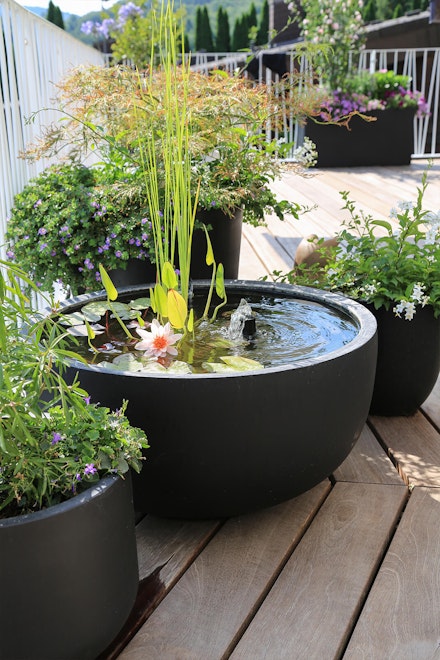 Water container garden on deck near other potted plants