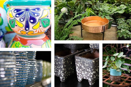 5 images: Talavera pots; blue and green textured pots; black and white speckled pots; a teal, brown and white pot with a Chinese Money plant in it on a metal chair; and a hammered copper pot on black metal legs on a table surrounded by houseplants