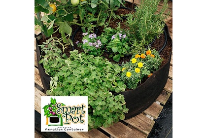 A closeup of a round Smart Pot aeration container with numerous edible and flowering plants growing in it (image centered against a white background)