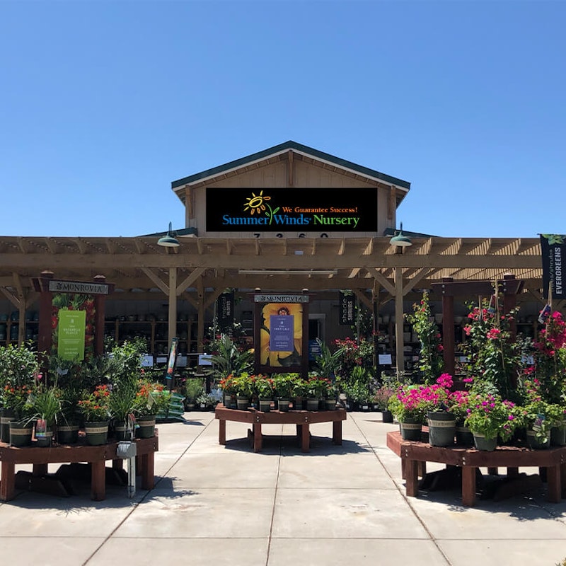 Dublin Store California SummerWinds Nursery