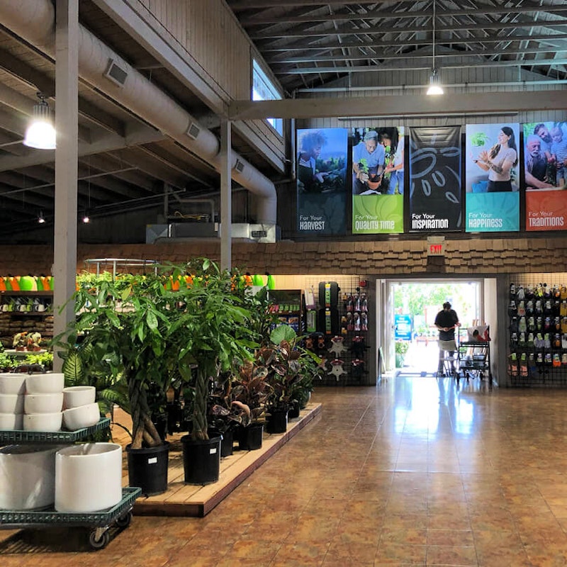 Dublin Store California SummerWinds Nursery