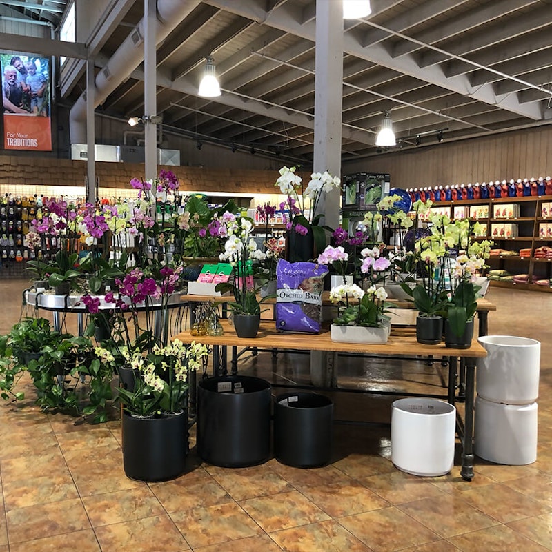 Dublin Store California SummerWinds Nursery