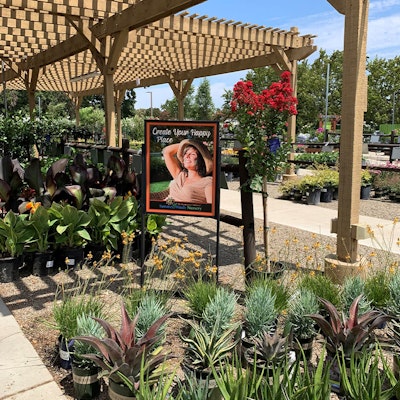 Potted plants outside