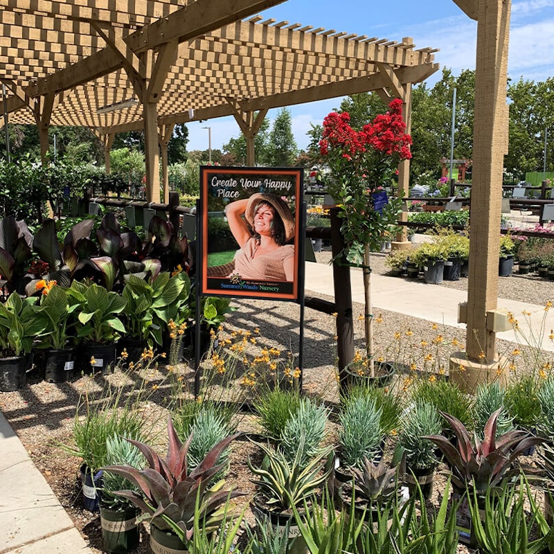 Dublin Store California SummerWinds Nursery