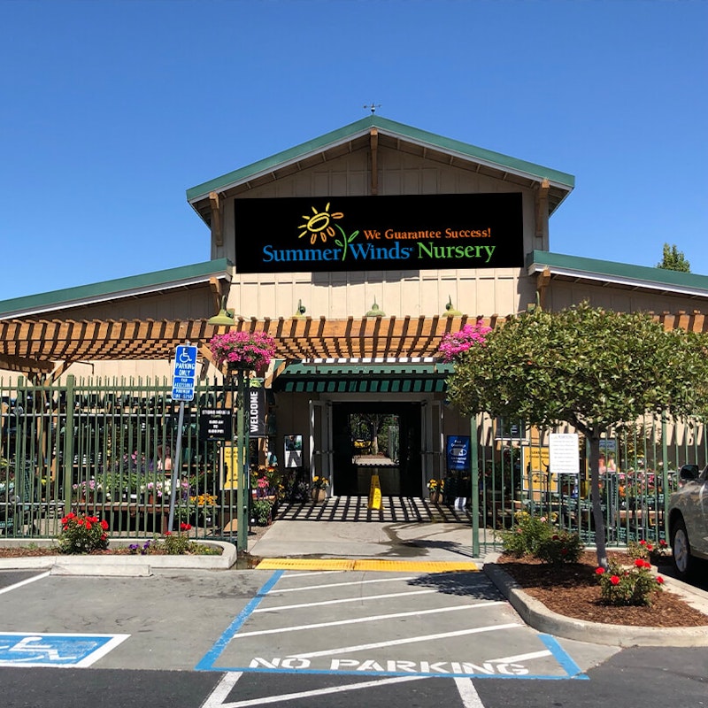 Novato Store California SummerWinds Nursery