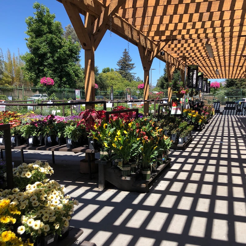 Novato Store California SummerWinds Nursery