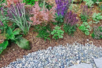 A variety of plants surrounded by mulch near a pebble and stone walkway