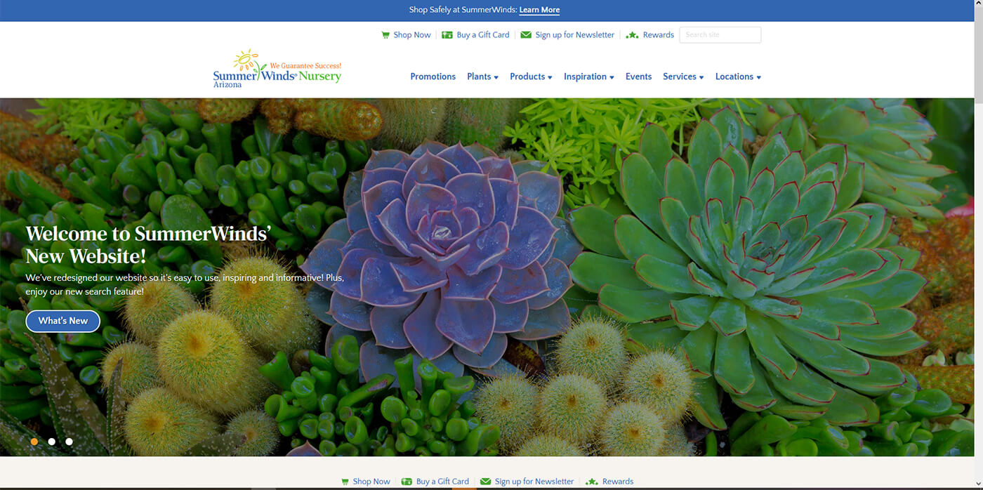 A screenshot of SummerWinds Nursery's Arizona Home Page of newly designed website