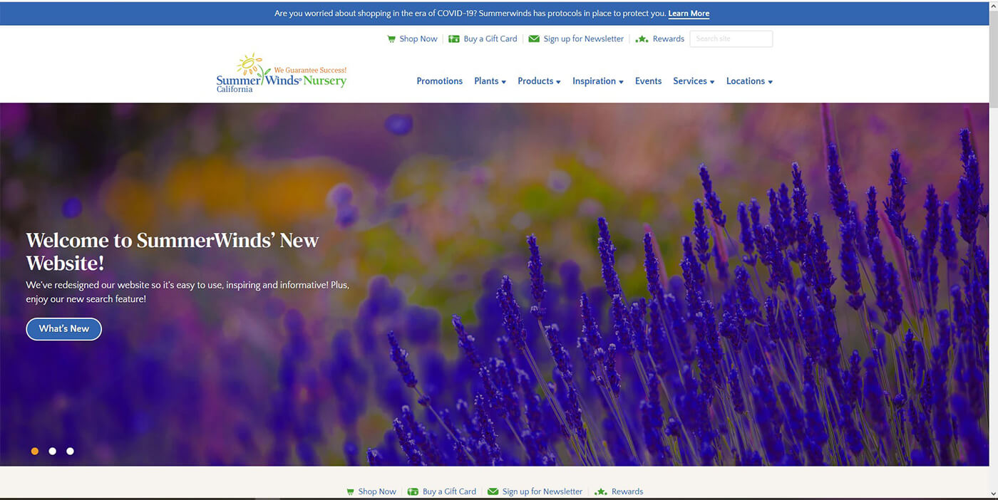 A screenshot of SummerWinds Nursery's California Home Page of newly designed website