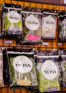 wall display of an assortment of bella moss collection