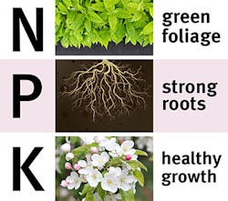 Chart for fertilizer that shows N for nitrogen, P for phosphorous and K for potassium and it says green foliage, strong roots and healthy growth