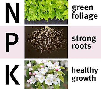 Chart for fertilizer that shows N for nitrogen, P for phosphorous and K for potassium and it says green foliage, strong roots and healthy growth