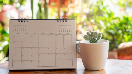 calender with no month indicated sitting on table next to white coffee cup with cactus planted inside and beautiful plants blurred in the background